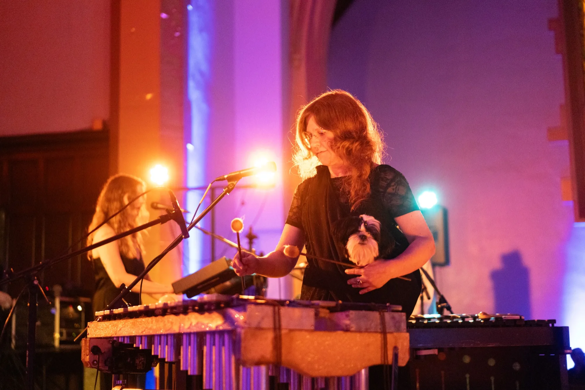 Me playing vibraphone with mallets while holding a small white dog, a bandmate on keyboard beside me.