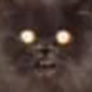 close-cropped image of a persian cat's face with eyes reflecting green light